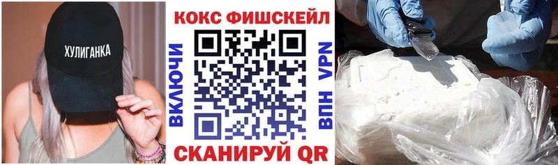 Cocaine Fish Scale  Купить  Верхняя Пышма 