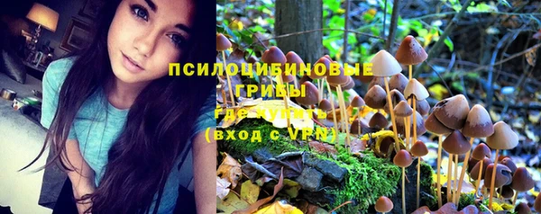 МДПВ Богородск
