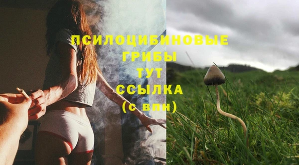 МДПВ Богородск