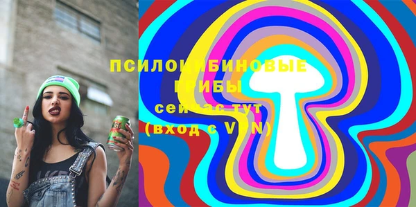МДПВ Богородск