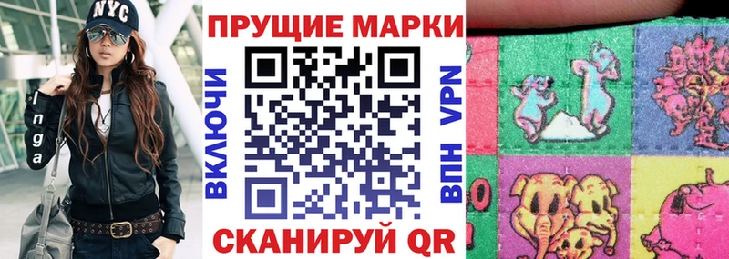 Купить закладки  Верхняя Пышма  Наркотические марки 1,8мг 